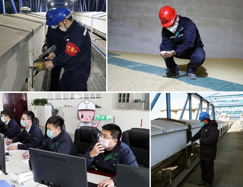 金光粮油码头保安巡更与家政服务一体化管理方案